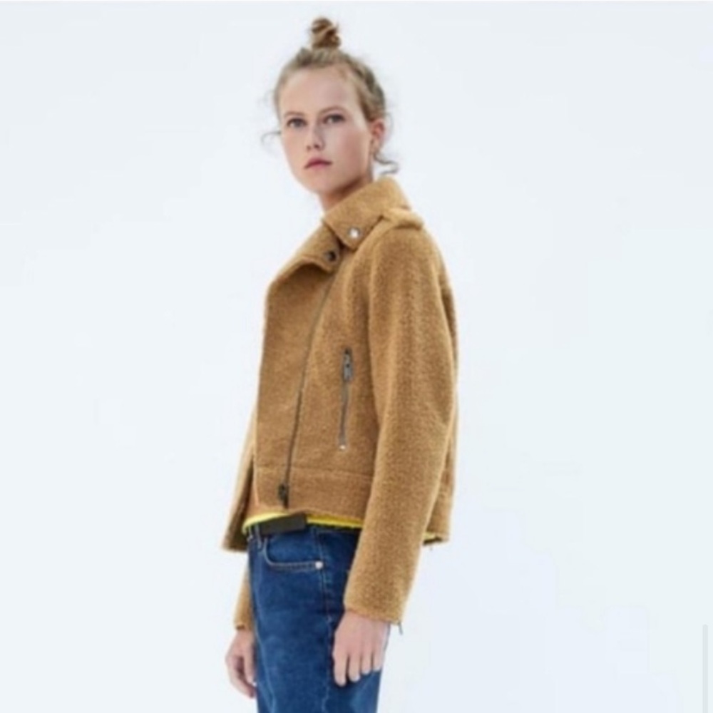 Teddy Moto Jacket - Picture 3 of 9